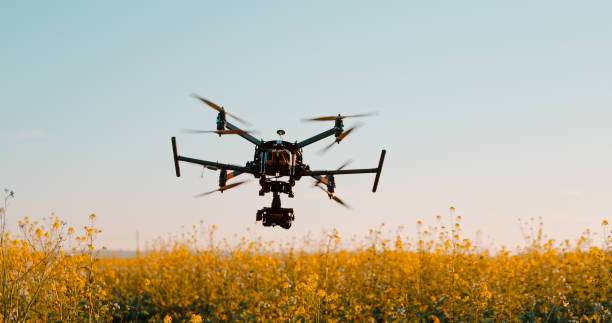 istock Drone flying above plants in field 1216397752