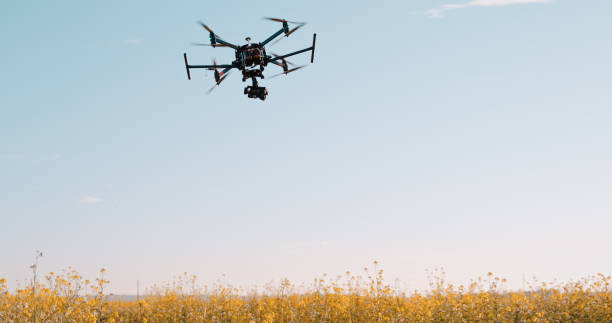 istock Drone flying above plants in field 1216397753