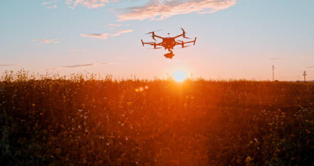 istock Drone flying above field at sunset 1216397763