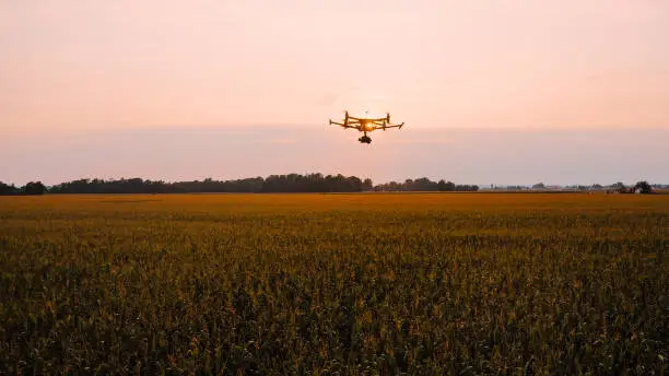 Photo of Drone flying above field at sunset