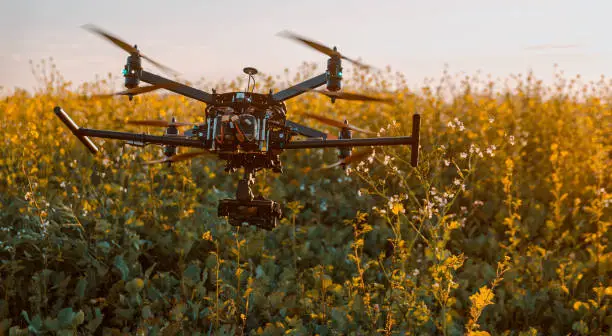 Photo of Drone flying low above plants in a field