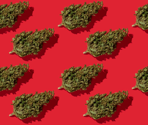 istock Seamless pattern of hemp buds on red background. 1216397907