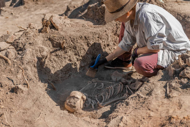 istock Ancient Burial Site- Archaeological Excavations 1216398636