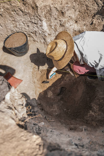 istock Archaeologist Uncovering Artifacts Remains 1216398772