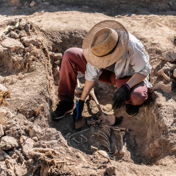 istock Ancient Burial Site- Archaeological Excavations 1216398833