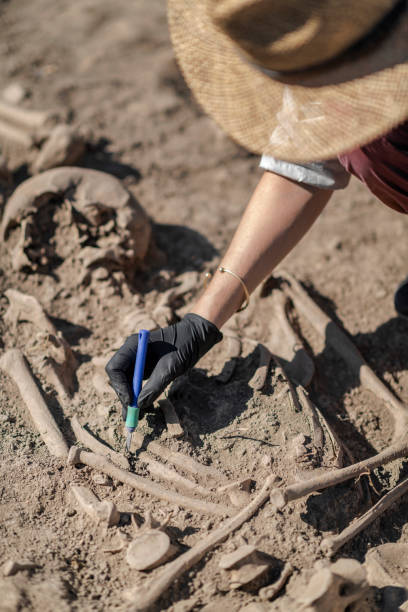 istock Archaeology – Excavating part of an Ancient Human Skeleton with Digging Tool Kit 1216398927