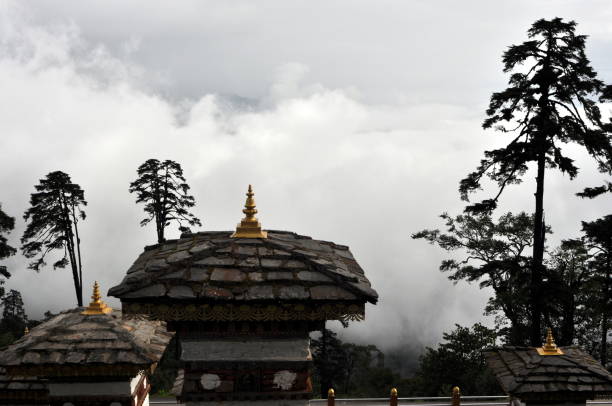 tybet i bhutan turystyczne zwiedzanie - tibet monk architecture india zdjęcia i obrazy z banku zdjęć