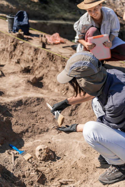 istock Archaeologist Working at Archaeology Site 1216399346