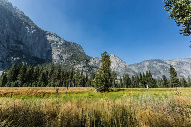 istock A beautiful View in Yosemite National Park 1216400212