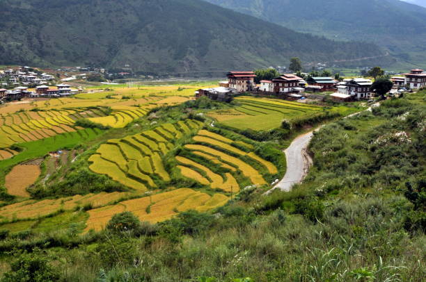 visite turistiche in tibet e bhutan - taktsang monastery immagine foto e immagini stock