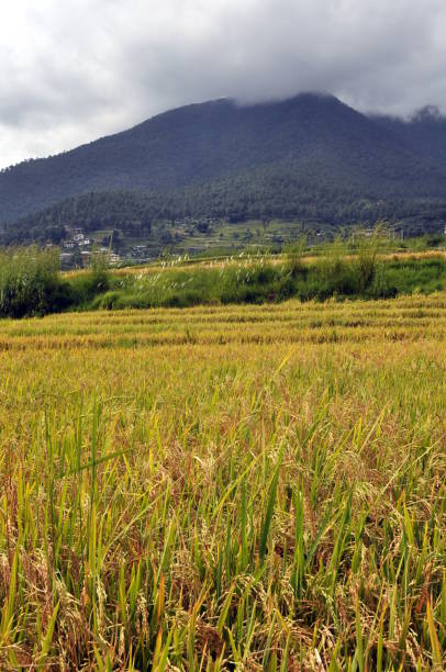 istock Tibet and Bhutan touristic sightseeing’s 1216400848