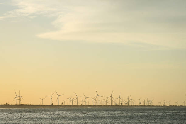 Wind power Wind turbines on a very nice beach and sunset kite sailing stock pictures, royalty-free photos & images