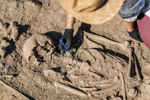 Archaeological Excavations of an Ancient Human Skeleton