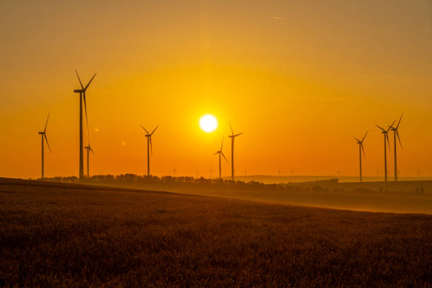 istock Wind turbines and wheat field at sunrise. 1216402830