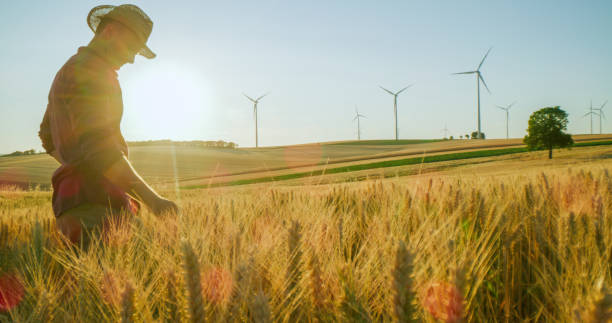 istock Farmer in straw hat in wheat field 1216403096