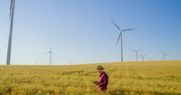 istock Farmer in cowboy hat in wheat field with wind turbines, Austria 1216403220