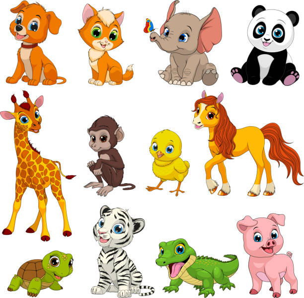 재미있는 동물 세트 - zoo young animal africa group of animals stock illustrations