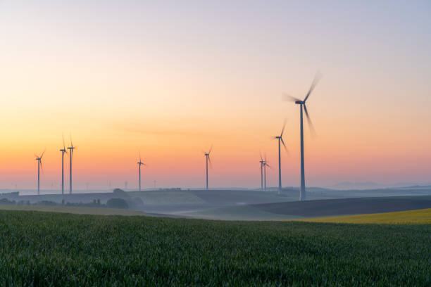 Young wheat in field and wind turbines at sunrise Countryside landscape with view of young green wheat in a field and wind turbines in the background under a moody sky at sunrise wind power photos stock pictures, royalty-free photos & images