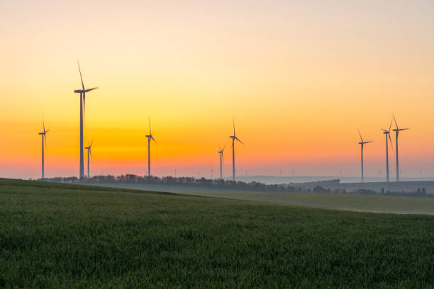 istock Young wheat in field and wind turbines at sunrise 1216403910