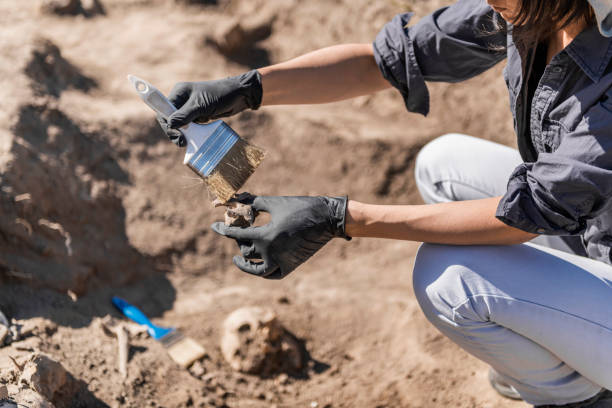 Archaeologist Working at Archaeology Site Archaeological excavations, human skeleton remains, found in an ancient tomb. archaeology stock pictures, royalty-free photos & images