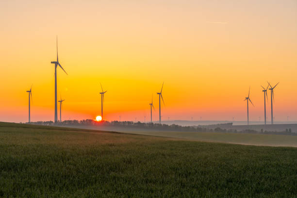 istock Young wheat in field and wind turbines at sunrise 1216403935