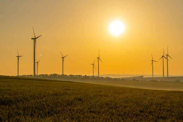 istock Young wheat in field and wind turbines at sunrise 1216403950