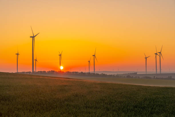 istock Young wheat in field and wind turbines at sunrise 1216403974