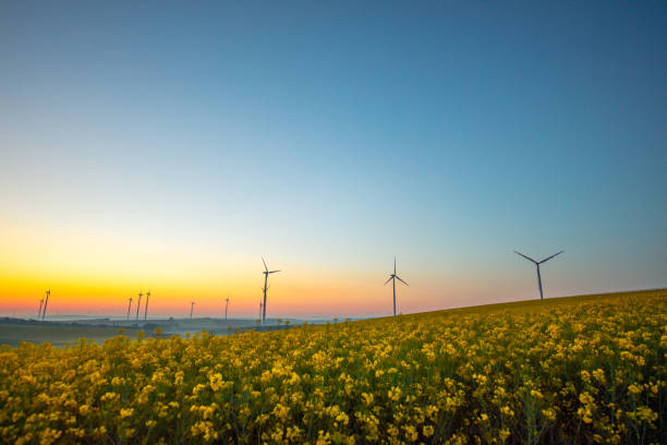 일출에 유채밭과 풍력 터빈 - wind turbine austria field yellow 뉴스 사진 이미지