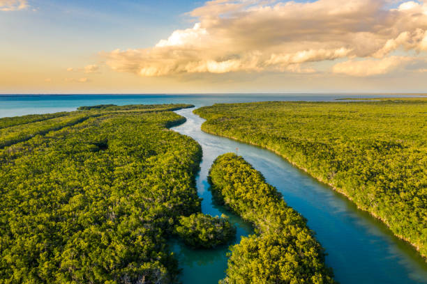 Everglades National Park at sunset, Florida, USA Landscape with an aerial view of wetlands in Everglades National Park at sunset, Florida, USA natural landmark photos stock pictures, royalty-free photos & images