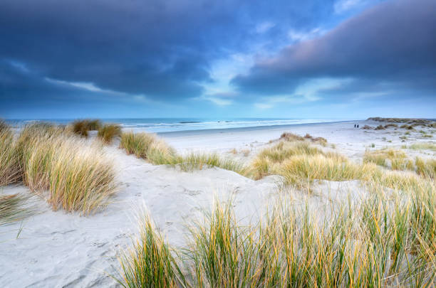 istock View on north sea from sand dunes 1216404421
