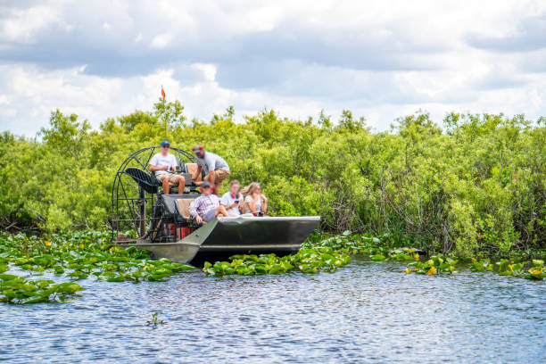 Tourists in hovercraft, Everglades National Park, Florida, USA Photograph of a group of tourists in a hovercraft in the wetlands of Everglades National Park, Florida, USA everglades national park photos stock pictures, royalty-free photos & images