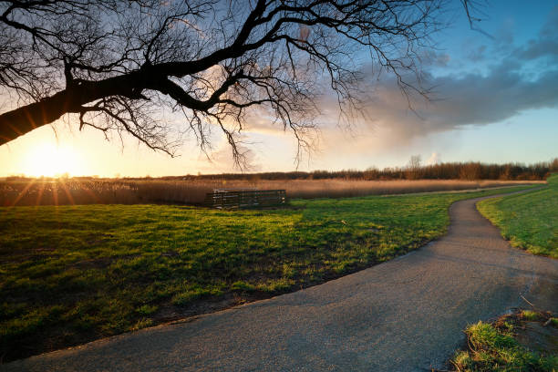 istock evening sunshine over bike path, Netherlands 1216404623