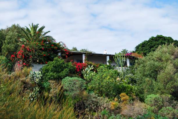 istock Mediterranean villa hides in flowers and vegetation 1216406385