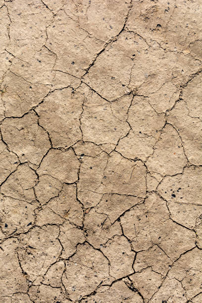 istock Climate change is a cause of natural disasters such as drought. Characterized by earth cracks as a result of prolonged rainfall shortages. 1216407517