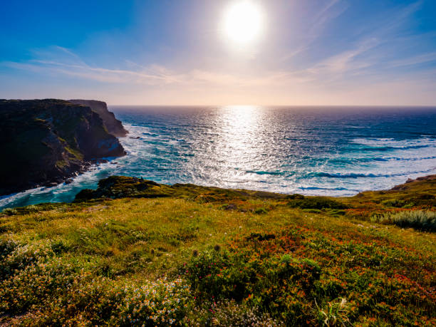 istock Lampianu cliff - Stintino, Sardinia 1216407676