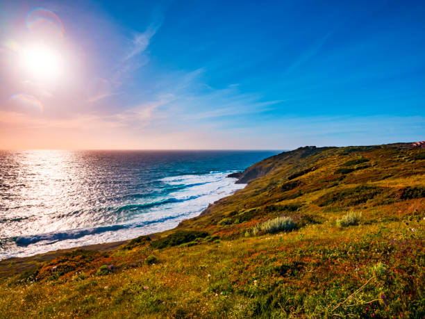 istock Lampianu cliff - Stintino, Sardinia 1216408219