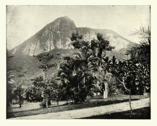 植物園とコルコバード山、リオデジャネイロ、ブラジル - リオデジャネイロ 写真 ストックフォトと画像