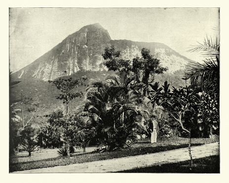 Antique photograph of Botanical gardens and Mount Corcovado, Rio de Janeiro, Brazil 19th Century