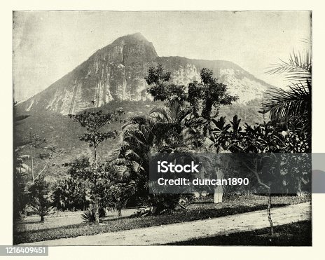 istock Botanical gardens and Mount Corcovado, Rio de Janeiro, Brazil 1216409451