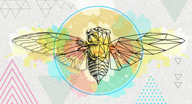 Realistic and polygonal cicada illustration on artistic watercolor background. Astrology zodiac sign Realistic and polygonal cicada illustration on artistic watercolor background. Astrology zodiac sign cicada stock illustrations