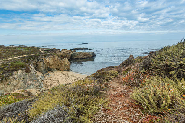 istock A beautiful view in California coast - Big Sur 1216411552