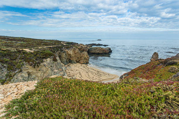 istock A beautiful view in California coast - Big Sur 1216412386