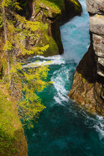 istock Gudbrandsjuvet gorge in Norway 1216413174