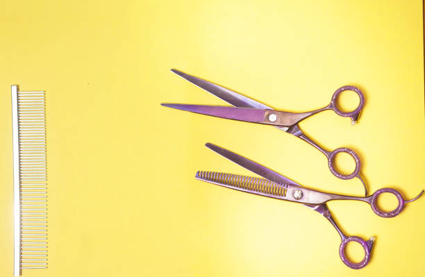 istock hairdressing scissors on a white background 1216413388