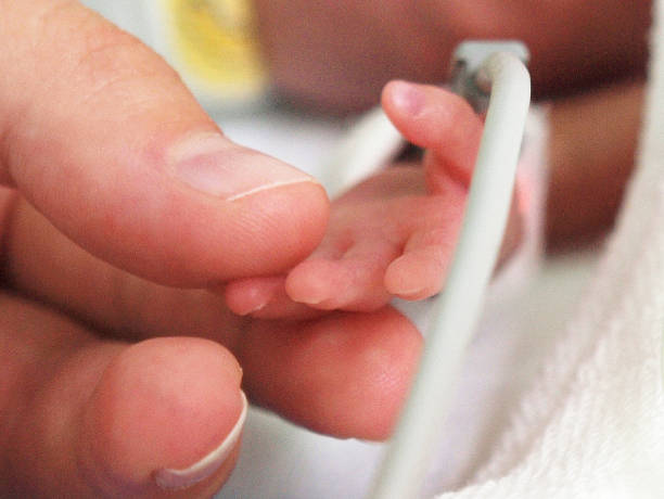 Mother and preterm baby first touch Mother is holding a tiny hand of her preterm baby that is in the NICU. premature stock pictures, royalty-free photos & images