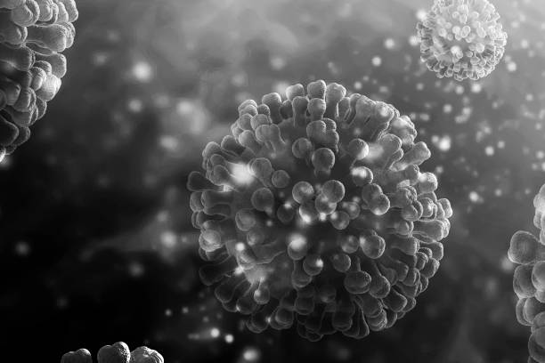 istock 3d rendering Virus bacteria cells background, black and white illustration 1216414904