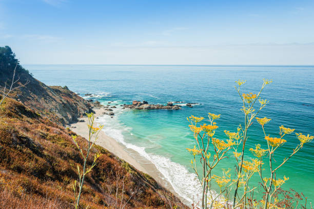 istock A beautiful view in California coast - Big Sur 1216414961