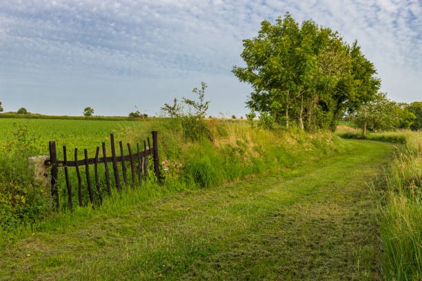istock grass path with wooden door 1216416050