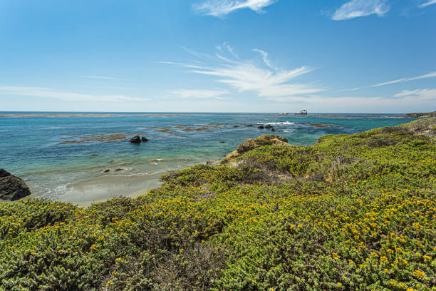 A beautiful view in California coast - Big Sur