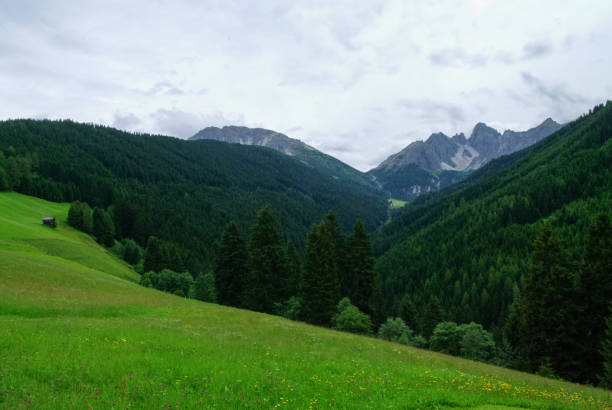 letni widok na łąkę i pasmo górskie w rejonie axamer lizum, tyrol, austria - nockspitze zdjęcia i obrazy z banku zdjęć